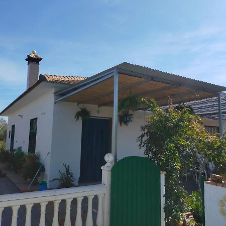Alojamiento Rural La Perdiz 拉普埃夫拉德洛辛凡特斯 外观 照片