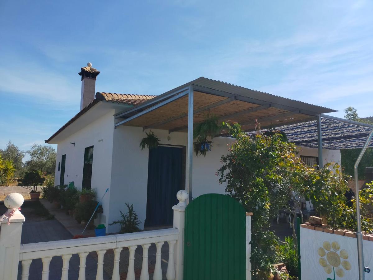 Alojamiento Rural La Perdiz 拉普埃夫拉德洛辛凡特斯 外观 照片
