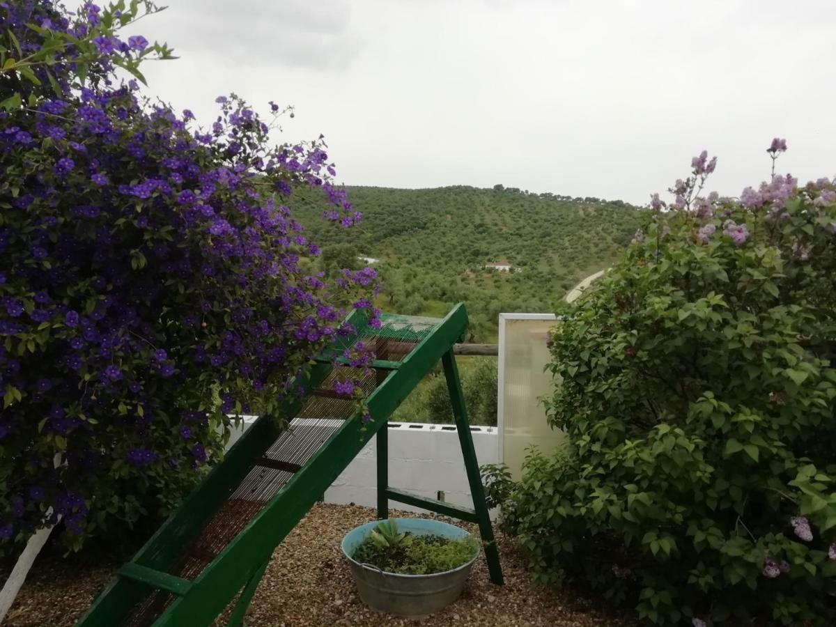 Alojamiento Rural La Perdiz 拉普埃夫拉德洛辛凡特斯 外观 照片