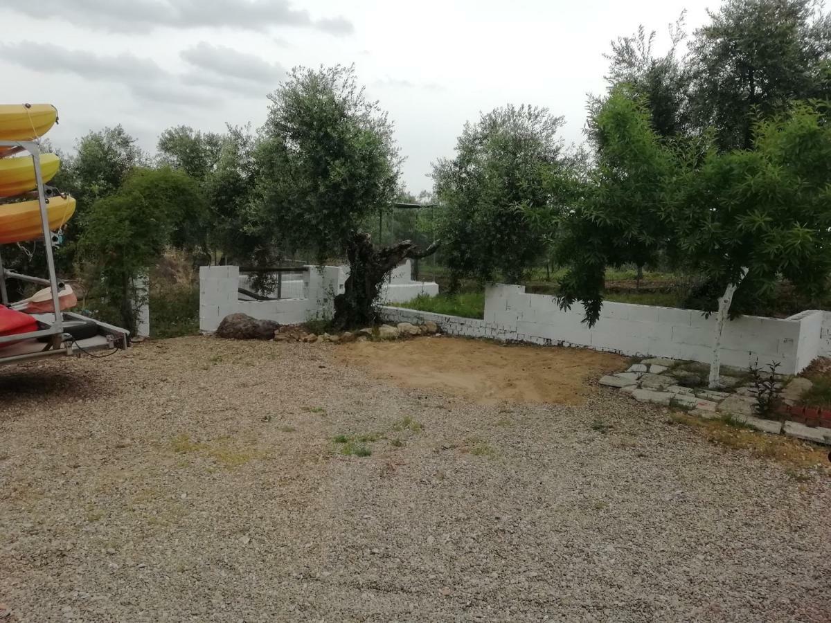 Alojamiento Rural La Perdiz 拉普埃夫拉德洛辛凡特斯 外观 照片